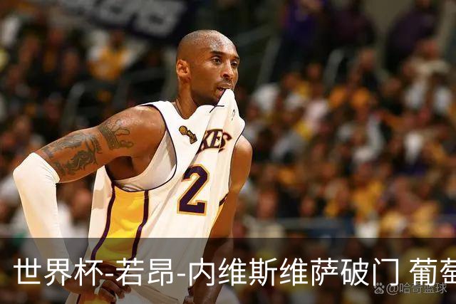 世界杯-若昂-内维斯维萨破门 葡萄牙半场暂1-1民主刚果
