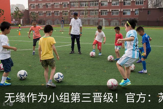 无缘作为小组第三晋级！官方：苏格兰主帅史蒂夫·克拉克辞职